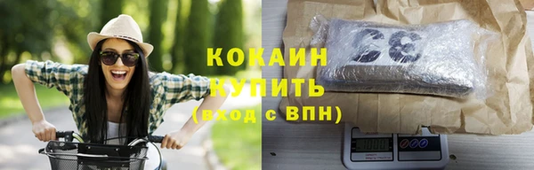 ешки Алексин