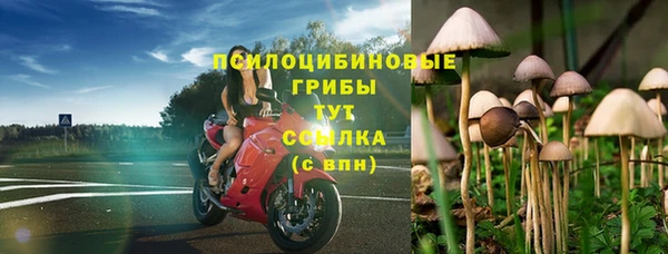 a pvp Алексеевка