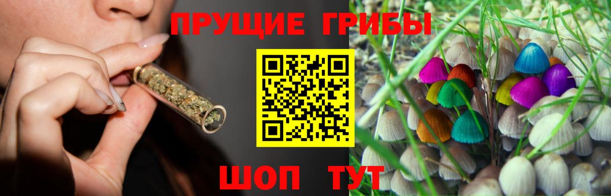 Галлюциногенные грибы ЛСД Губкин