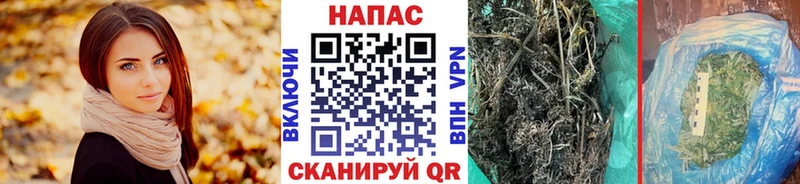 Марихуана ГИДРОПОН  Губкин 